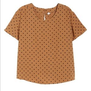 BP Brown and Black Polka Dot Short Sleeve Top